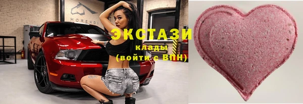 шишки Лабытнанги