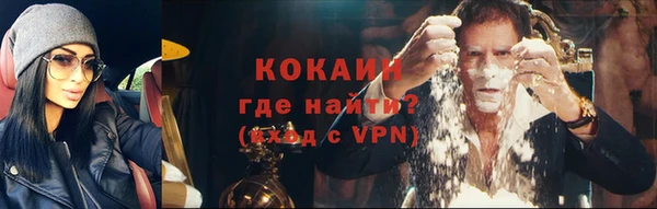 шишки Лабытнанги