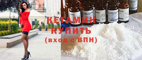 дживик Туринск