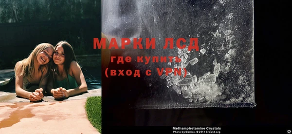 шишки Лабытнанги
